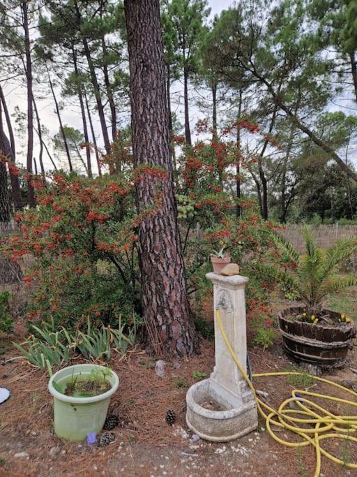 Appartement Studio Mornas Mornas