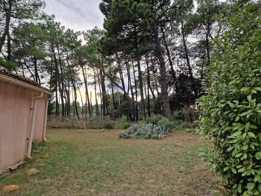 Appartement Studio Mornas *
